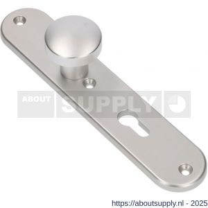 Ami 250/50/8/1 knoplangschild aluminium knop 169/50 vast langschild 250/50/8/1 profielcilinder PC 55 R6,5 F1 - S10900758 - afbeelding 3