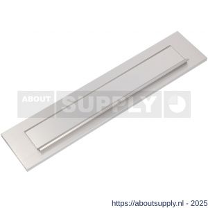 Ami DL briefplaat met veer aluminium F1 deurdikte 53-57 mm - S10900048 - afbeelding 3