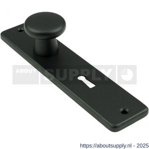 Ami 180/41 RH knopkortschild aluminium rondhoek knop 160/40 vast kortschild 180/41 RH sleutelgat SLG 56 zwart RAL 9005 structuur finish - S10900734 - afbeelding 3
