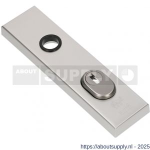 Ami VHB 193/15 KT veiligheidskortschild SKG*** kerntrekbeveiliging buitenkortschild 193/15 KT 55 F2 - S10901381 - afbeelding 3
