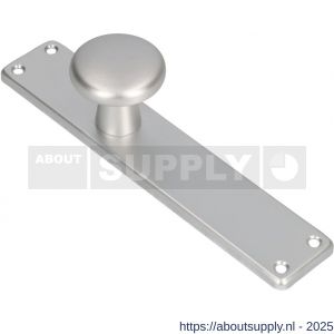 Ami 212/41 RH knoplangschild aluminium knop 160/50 vast langschild 212/41 RH rondhoek blind F1 - S10900748 - afbeelding 3