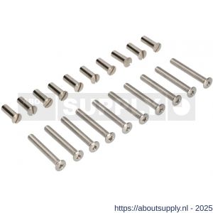 Ami patentschroef met zaagsnede RVS M6x80 mm voldraad set 10 stuks - S10900194 - afbeelding 2