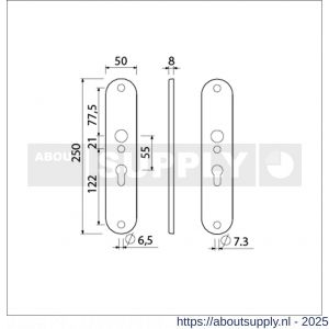 Ami 250/50/8/1 langschild aluminium profielcilinder PC 55 F1 R6,5/R7,3 - S10900672 - afbeelding 6
