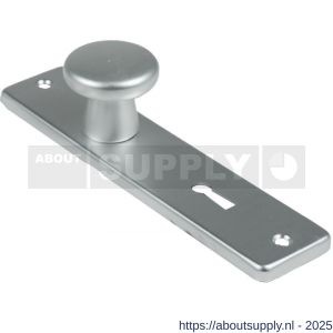 Ami 165/4 RH knopkortschild aluminium rondhoek knop 160/40 vast kortschild 165/4 RH sleutelgat SLG 56 F1 - S10900706 - afbeelding 4