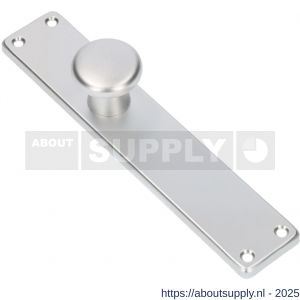 Ami 212/41 RH knoplangschild aluminium knop 160/50 vast langschild 212/41 RH rondhoek blind F1 - S10900748 - afbeelding 4