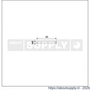 Ami deurbeslag patentschroef met zaagsnede RVS M5x65 mm voldraad set 10 stuks - S10900181 - afbeelding 2