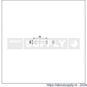 Ami deurbeslag patentschroef met zaagsnede RVS M6x45 mm voldraad set 10 stuks - S10900189 - afbeelding 2