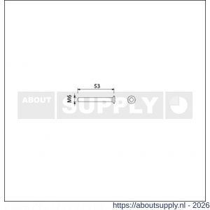 Ami deurbeslag patentschroef met zaagsnede RVS M6x53 mm voldraad set 10 stuks - S10900190 - afbeelding 2