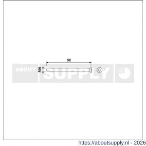 Ami deurbeslag patentschroef met zaagsnede RVS M6x90 mm voldraad set 10 stuks - S10900195 - afbeelding 2