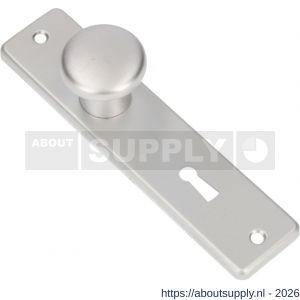 Ami 165/4 RH knopkortschild aluminium rondhoek knop 160/40 vast kortschild 165/4 RH sleutelgat SLG 56 F1 - S10900706 - afbeelding 1