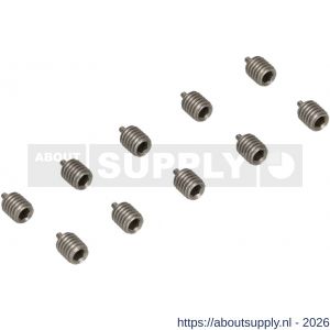 Ami deurbeslag Quickpuntschroef M6 verpakt per 10 stuks - S10900173 - afbeelding 1