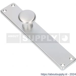 Ami 212/41 RH knoplangschild aluminium knop 160/50 vast langschild 212/41 RH rondhoek blind F2 - S10900753 - afbeelding 1