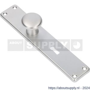 Ami 212/41 RH knoplangschild aluminium knop 160/50 vast langschild 212/41 RH rondhoek SL 56 F1 - S10900749 - afbeelding 1