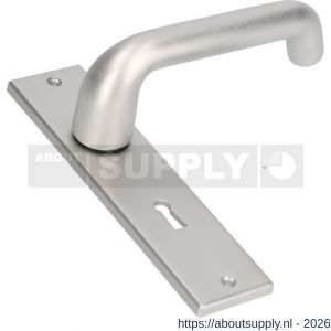 Ami KS 178/43-386 kruk-kruk garnituur deurkruk 386 Rota kortschild 178/43 sleutelgat SLG 56 F1 - S10900118 - afbeelding 1