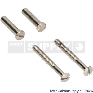 Ami deurbeslag patentbout compleet met huls ijzer vernikkeld M4x45 mm schroef en huls set 10 stuks - S10900204 - afbeelding 1