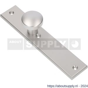 Ami 251/50/8 knoplangschild aluminium knop 169/50 vast langschild 251/50/8 blind R6,5 F1 - S10900760 - afbeelding 1
