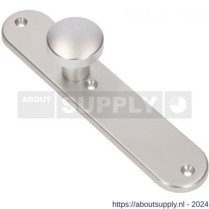 Ami 250/50/8/1 knoplangschild aluminium knop 169/50 vast langschild 250/50/1/8 blind R6,5 F1 - S10900756 - afbeelding 1
