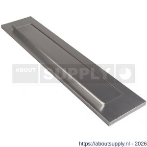 Ami TA briefplaat met veer aluminium deurdikte 38-42 mm F2 - S10900072 - afbeelding 1