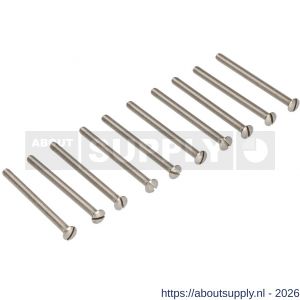 Ami deurbeslag patentschroef met zaagsnede RVS M5x52 mm voldraad set 10 stuks - S10900178 - afbeelding 1