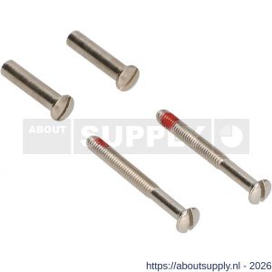 Ami deurbeslag patentbout compleet met huls ijzer vernikkeld M4x55 mm schroef en borging set 2 stuks - S10901770 - afbeelding 1