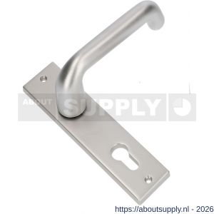 Ami KS 178/43-386 kruk-kruk garnituur deurkruk 386 Rota kortschild 178/43 profielcilinder PC 55 F1 - S10900119 - afbeelding 1