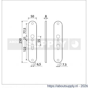 Ami 250/50/8/1 langschild aluminium profielcilinder PC 55 F1 R6,5/R7,3 - S10900672 - afbeelding 2