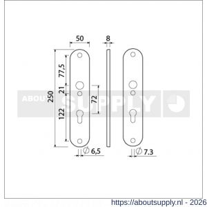 Ami 250/50/8/1 langschild aluminium profielcilinder PC 72 F1 R6,5/R7,3 - S10900673 - afbeelding 2