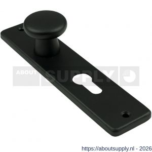 Ami 180/41 RH knopkortschild aluminium rondhoek knop 160/40 vast kortschild 180/41 RH profielcilinder PC 55 zwart RAL 9005 structuur finish - S10900735 - afbeelding 1