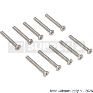 Ami deurbeslag patentschroef met zaagsnede RVS M6x45 mm voldraad set 10 stuks - S10900189 - afbeelding 1