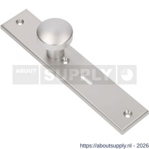 Ami 251/50/8 knoplangschild aluminium knop 169/50 vast langschild 251/50/8 sleutelgat SLG 56 R6,5 F1 - S10900761 - afbeelding 1
