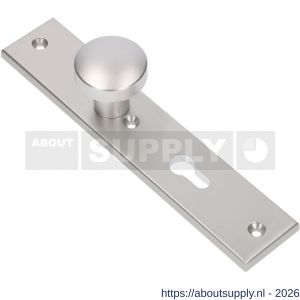 Ami 251/50/8 knoplangschild aluminium knop 169/50 vast langschild 251/50/8 profielcilinder PC 55 R6,5 F1 - S10900762 - afbeelding 1