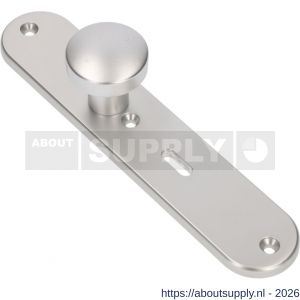 Ami 250/50/8/1 knoplangschild aluminium knop 169/50 vast langschild 250/50/8/1 sleutelgat SLG 56 R6,5 F1 - S10900757 - afbeelding 1