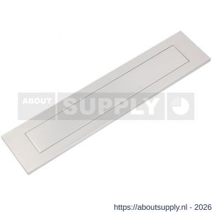 Ami DL binnendraaiende briefplaat met veer aluminium F2 deurdikte 38-42 mm - S10900055 - afbeelding 1