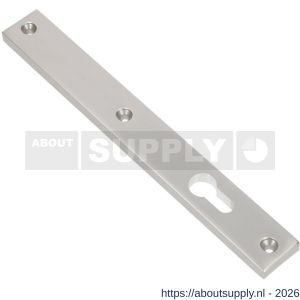 Ami 245/30 smalschild aluminium zonder krukgat profielcilinder PC 72 R5,5 F1 - S10900780 - afbeelding 1