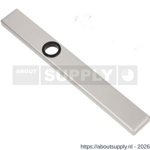 Ami 245/30 smalschild aluminium blind M5 F1 - S10900769 - afbeelding 1