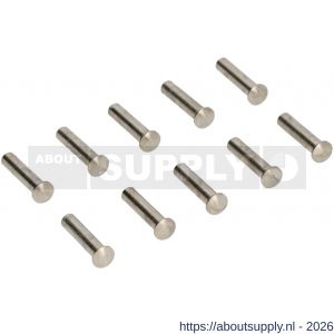 Ami deurbeslag patentbouthuls messing vernikkeld M4x22,5 mm zonder zaagsnede set 10 stuks - S10900197 - afbeelding 1