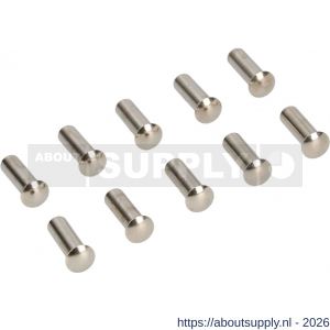 Ami deurbeslag patentbouthuls messing vernikkeld M5x21 mm zonder zaagsnede set 10 stuks - S10900198 - afbeelding 1