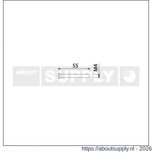 Ami deurbeslag patentschroef met zaagsnede ijzer vernikkeld M4x55 mm voldraad set 10 stuks - S10900177 - afbeelding 2