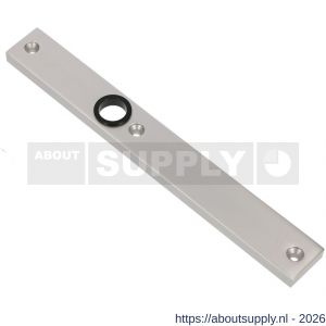 Ami 245/30 smalschild aluminium blind R5,5 F1 - S10900770 - afbeelding 1