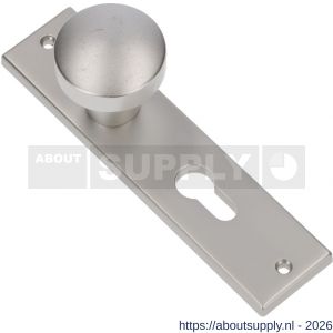 Ami 178/43 knopkortschild aluminium knop 169/50 vast kortschild 178/43 profielcilinder PC 55 F1 - S10900723 - afbeelding 1
