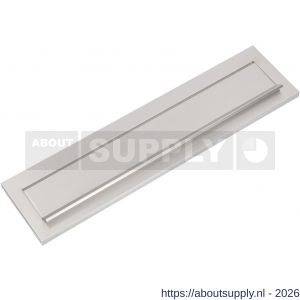 Ami DL postkast briefplaat met veer aluminium 290 mm 290/73 F1 - S10900057 - afbeelding 1