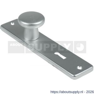 Ami 165/4 RH knopkortschild aluminium rondhoek knop 160/40 vast kortschild 165/4 RH sleutelgat SLG 56 F2 - S10900709 - afbeelding 1