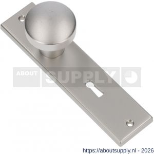 Ami 178/43 knopkortschild aluminium knop 169/50 vast kortschild 178/43 sleutelgat SLG 56 F1 - S10900721 - afbeelding 1