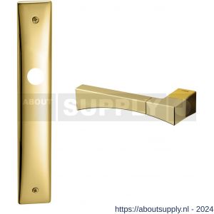 Mandelli1953 1170L Life deurkruk gatdeel linkswijzend op langschild 240x40 mm blind messing gepolijst-mat messing - S21012064 - afbeelding 1