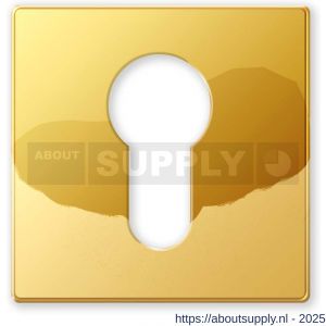 Mandelli1953 1291/BY cilinderrozet messing gepolijst - S21011279 - afbeelding 1
