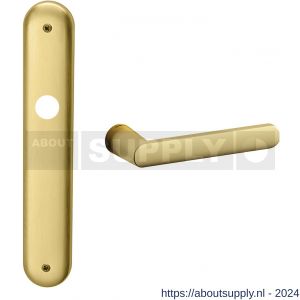 Mandelli1953 1300R Zante deurkruk gatdeel rechtswijzend op langschild 238x40 mm blind mat messing - S21015464 - afbeelding 1
