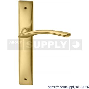 Mandelli1953 350R BB56 Zoom deurkruk gatdeel op langschild 240x40 mm BB56 rechtswijzend mat messing - S21015479 - afbeelding 1