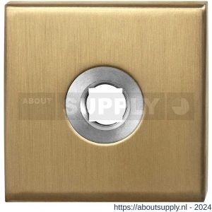 GPF Bouwbeslag PVD 1100.02P4 rozet vierkant 50x50x8 mm PVD messing satin - S21003652 - afbeelding 1
