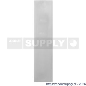 GPF Bouwbeslag RVS GPF1200.15 PC55 kortschild rechthoekig 169x46x8,5 mm zonder krukgat PC55 RVS geborsteld - S21005744 - afbeelding 1