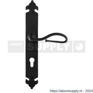 GPF bouwbeslag GPF6260.60R smeedijzer zwart Lumi deurkruk gatdeel op langschild PC 72 mm 291x41x4 mm rechtswijzend - Y21009569 - afbeelding 1